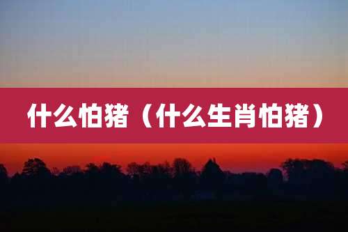 什么怕猪（什么生肖怕猪）