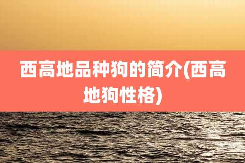 西高地品种狗的简介(西高地狗性格)