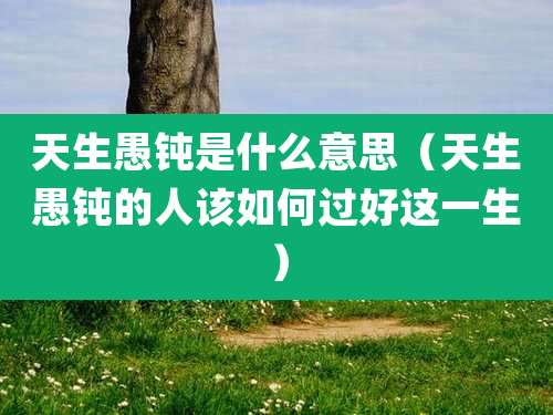 天生愚钝是什么意思（天生愚钝的人该如何过好这一生）