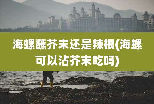 海螺蘸芥末还是辣根(海螺可以沾芥末吃吗)