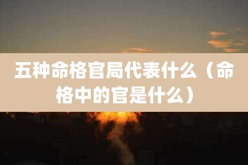五种命格官局代表什么（命格中的官是什么）