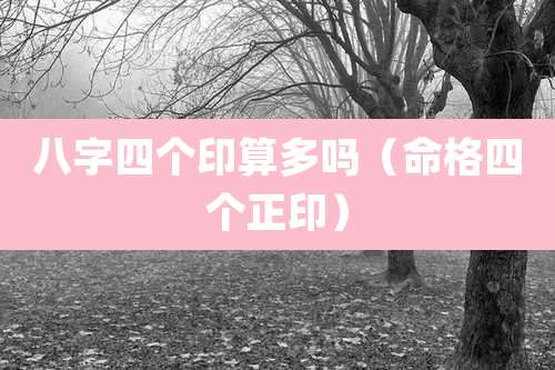八字四个印算多吗（命格四个正印）