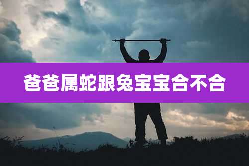 爸爸属蛇跟兔宝宝合不合
