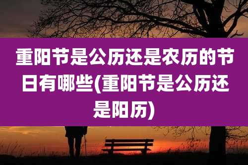 重阳节是公历还是农历的节日有哪些(重阳节是公历还是阳历)