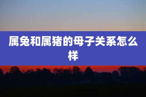属兔和属猪的母子关系怎么样