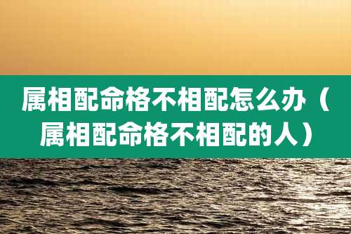 属相配命格不相配怎么办（属相配命格不相配的人）