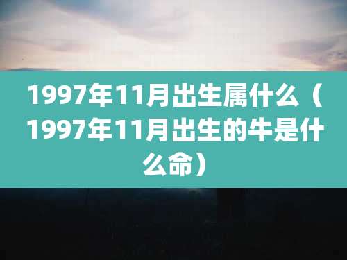 1997年11月出生属什么（1997年11月出生的牛是什么命）