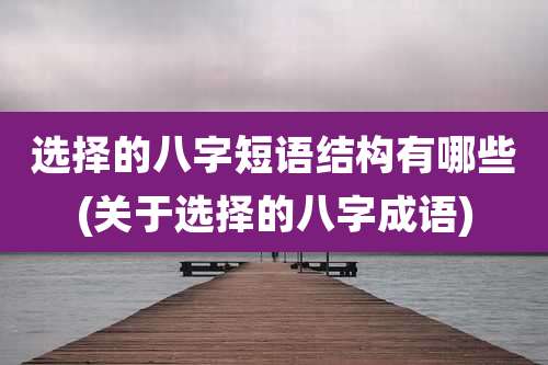 选择的八字短语结构有哪些(关于选择的八字成语)
