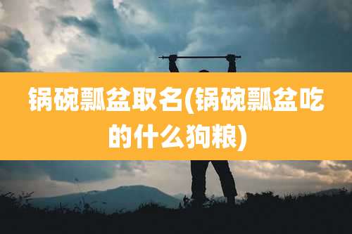 锅碗瓢盆取名(锅碗瓢盆吃的什么狗粮)