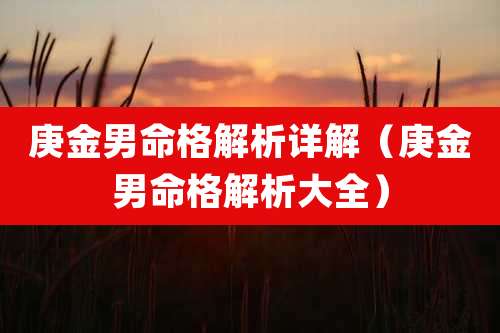 庚金男命格解析详解（庚金男命格解析大全）