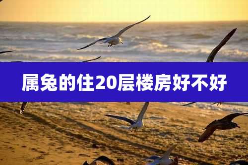属兔的住20层楼房好不好