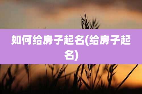如何给房子起名(给房子起名)