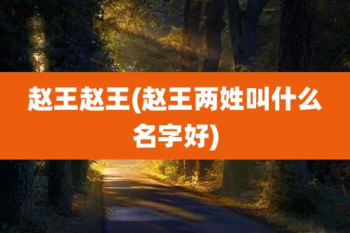 赵王赵王(赵王两姓叫什么名字好)