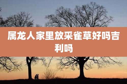 属龙人家里放采雀草好吗吉利吗