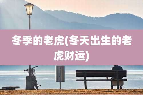 冬季的老虎(冬天出生的老虎财运)