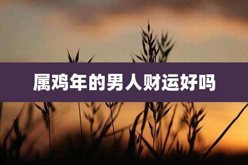 属鸡年的男人财运好吗