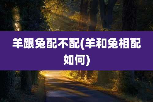 羊跟兔配不配(羊和兔相配如何)