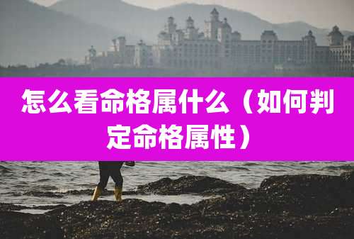 怎么看命格属什么（如何判定命格属性）