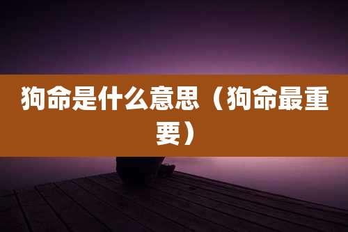 狗命是什么意思（狗命最重要）