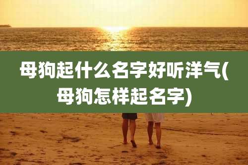 母狗起什么名字好听洋气(母狗怎样起名字)