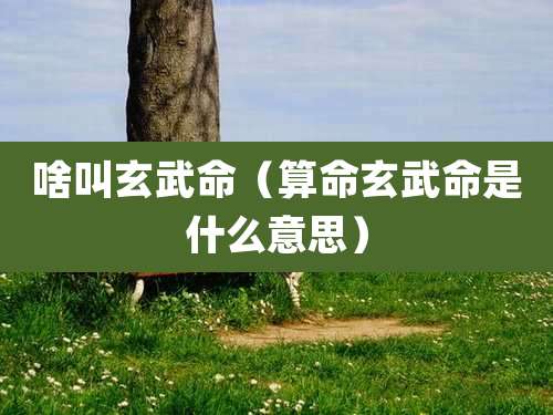 啥叫玄武命（算命玄武命是什么意思）