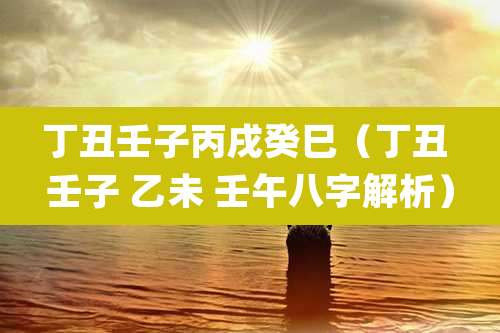 丁丑壬子丙戌癸巳（丁丑 壬子 乙未 壬午八字解析）