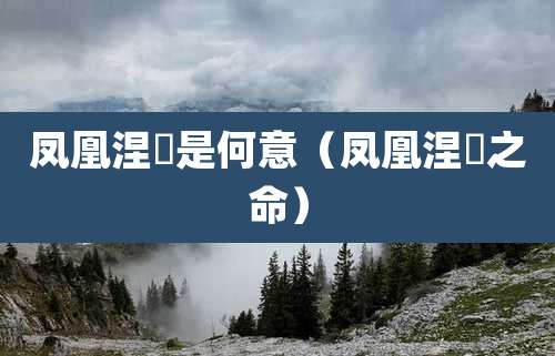 凤凰涅槃是何意（凤凰涅槃之命）