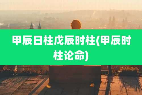 甲辰日柱戊辰时柱(甲辰时柱论命)