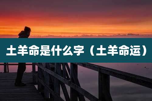 土羊命是什么字（土羊命运）