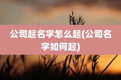 公司起名字怎么起(公司名字如何起)