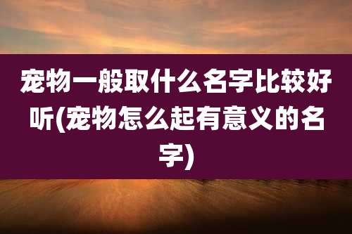 宠物一般取什么名字比较好听(宠物怎么起有意义的名字)