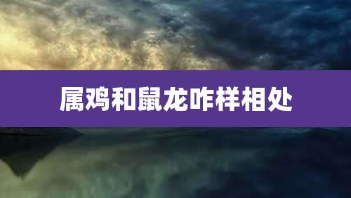 属鸡和鼠龙咋样相处
