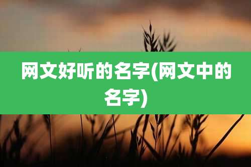 网文好听的名字(网文中的名字)