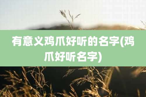 有意义鸡爪好听的名字(鸡爪好听名字)