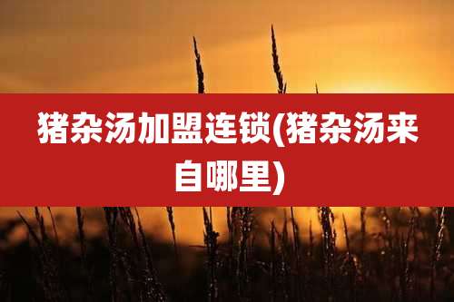 猪杂汤加盟连锁(猪杂汤来自哪里)