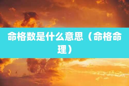 命格数是什么意思（命格命理）