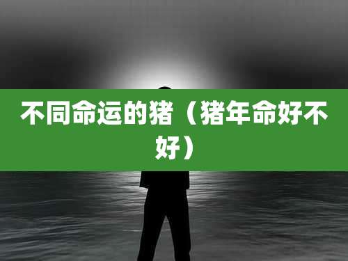 不同命运的猪（猪年命好不好）