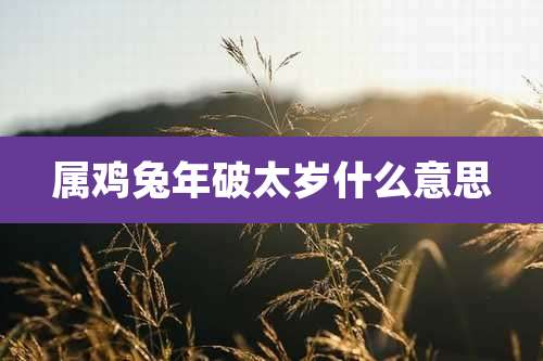 属鸡兔年破太岁什么意思