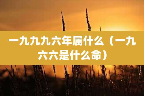 一九九九六年属什么（一九六六是什么命）