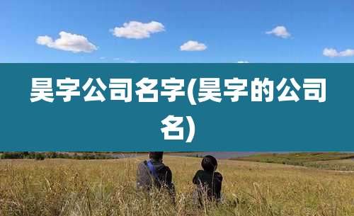 昊字公司名字(昊字的公司名)