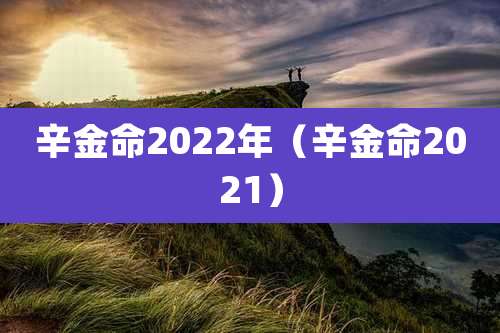 辛金命2022年（辛金命2021）