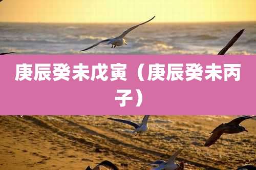 庚辰癸未戊寅（庚辰癸未丙子）