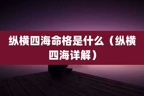 纵横四海命格是什么（纵横四海详解）
