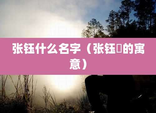 张钰什么名字（张钰浛的寓意）