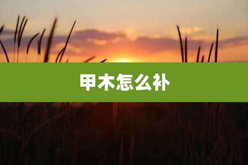 甲木怎么补