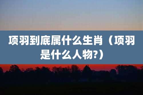 项羽到底属什么生肖（项羽是什么人物?）