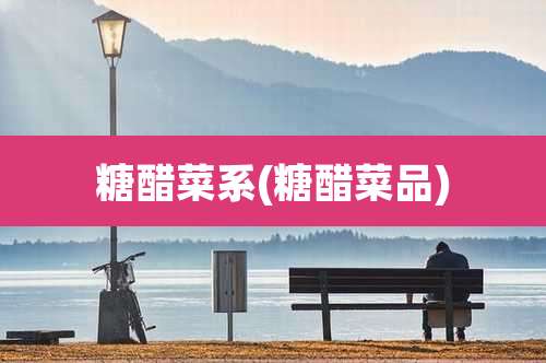 糖醋菜系(糖醋菜品)