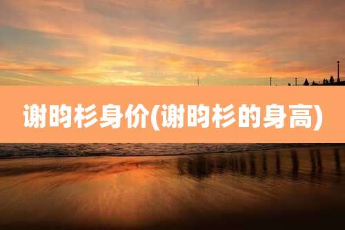 谢昀杉身价(谢昀杉的身高)