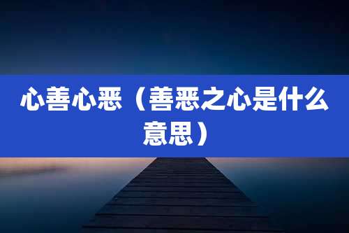 心善心恶（善恶之心是什么意思）