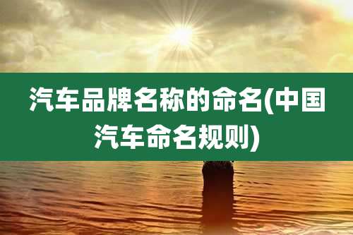 汽车品牌名称的命名(中国汽车命名规则)